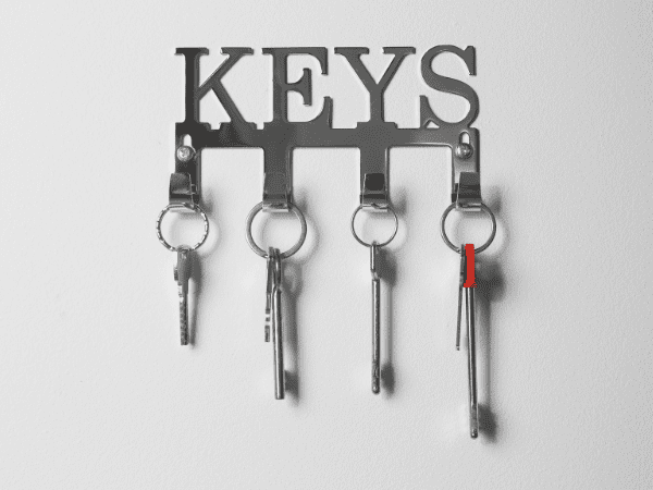 Wall Hanging With Hooks for keys