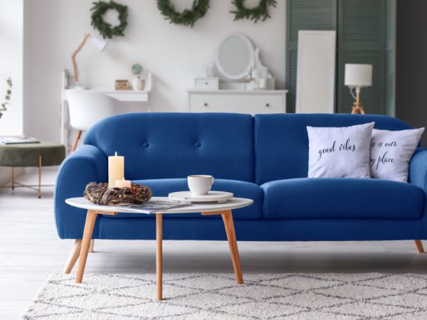 Living Room Essentials a sofa with rug